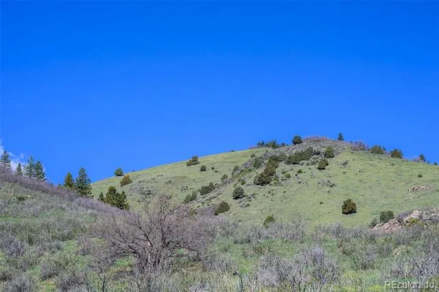 16653 Golden Rod Lane Morrison, CO 80465