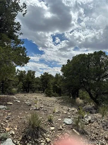 158 Cedar Ridge Road Mosca, CO 81146