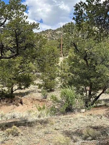 158 Cedar Ridge Road Mosca, CO 81146