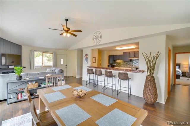 141 Quartzville Road Alma, CO 80420