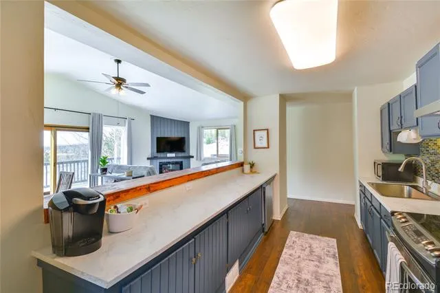 141 Quartzville Road Alma, CO 80420