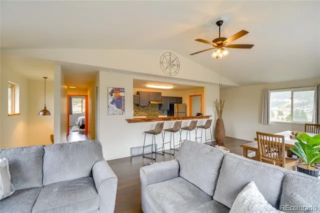 141 Quartzville Road Alma, CO 80420