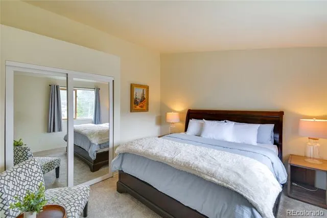 141 Quartzville Road Alma, CO 80420