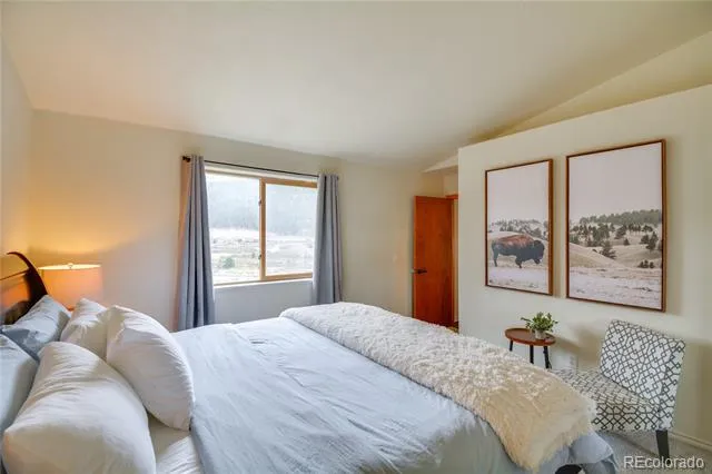 141 Quartzville Road Alma, CO 80420