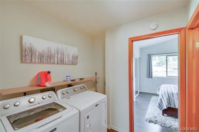 141 Quartzville Road Alma, CO 80420