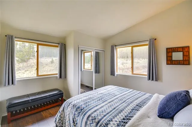141 Quartzville Road Alma, CO 80420