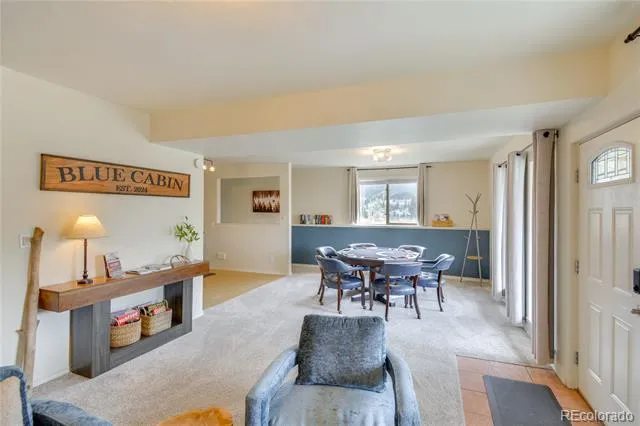 141 Quartzville Road Alma, CO 80420