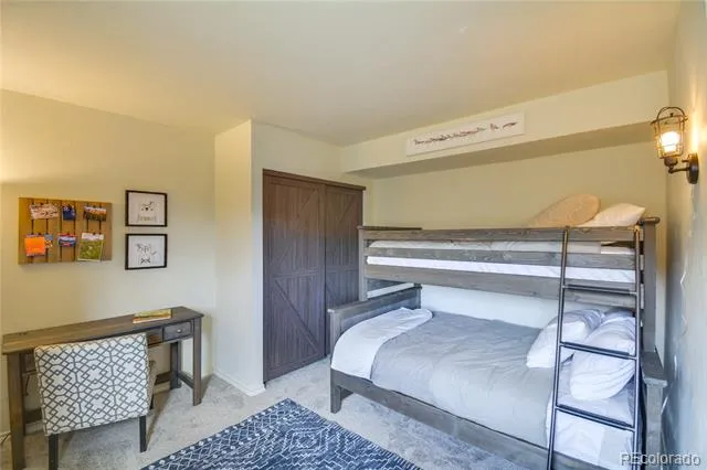 141 Quartzville Road Alma, CO 80420