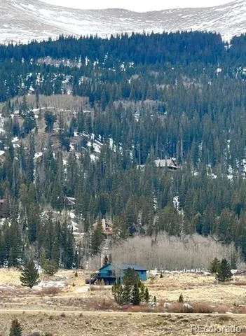 141 Quartzville Road Alma, CO 80420