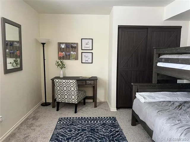 141 Quartzville Road Alma, CO 80420