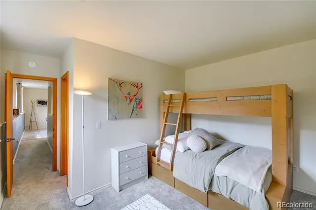 141 Quartzville Road Alma, CO 80420