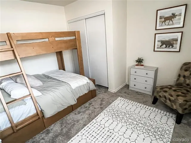 141 Quartzville Road Alma, CO 80420
