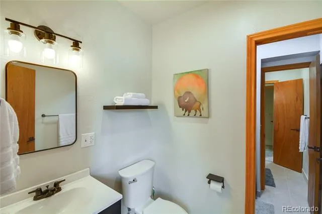 141 Quartzville Road Alma, CO 80420