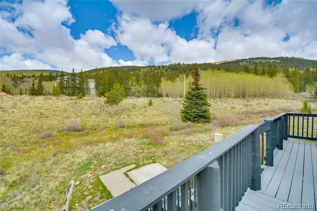 141 Quartzville Road Alma, CO 80420