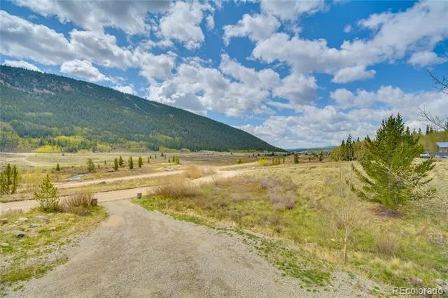 141 Quartzville Road Alma, CO 80420