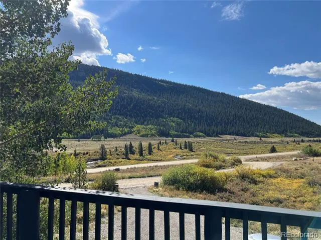 141 Quartzville Road Alma, CO 80420