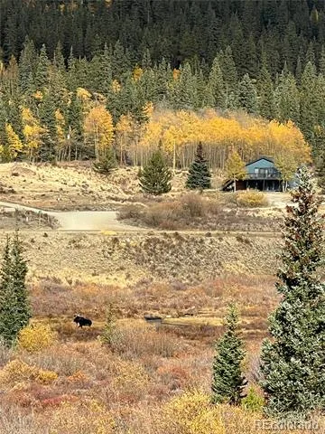 141 Quartzville Road Alma, CO 80420