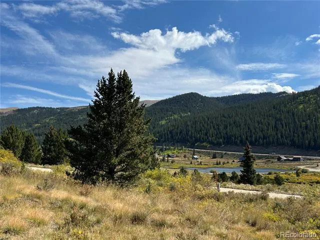141 Quartzville Road Alma, CO 80420