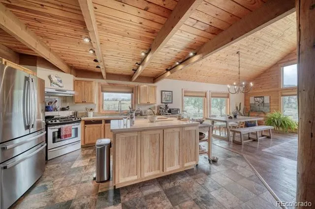 13288 County Road 261p Nathrop, CO 81236