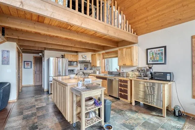 13288 County Road 261p Nathrop, CO 81236