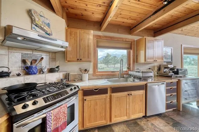 13288 County Road 261p Nathrop, CO 81236