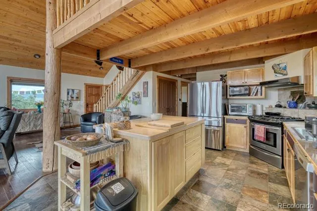 13288 County Road 261p Nathrop, CO 81236