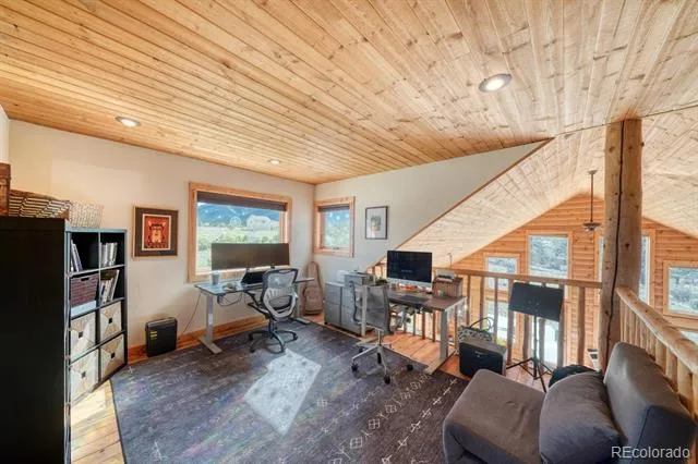 13288 County Road 261p Nathrop, CO 81236