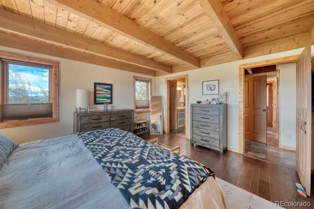 13288 County Road 261p Nathrop, CO 81236