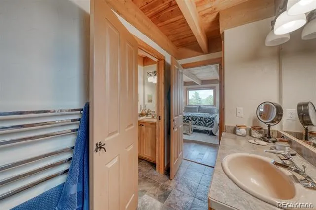 13288 County Road 261p Nathrop, CO 81236