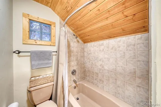 13288 County Road 261p Nathrop, CO 81236