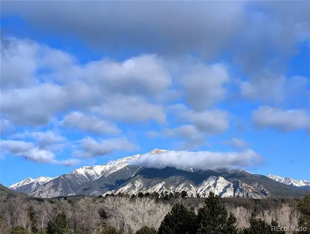 13288 County Road 261p Nathrop, CO 81236