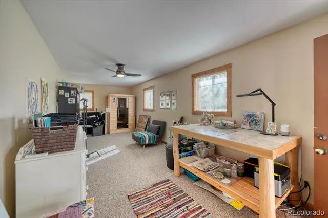 13288 County Road 261p Nathrop, CO 81236
