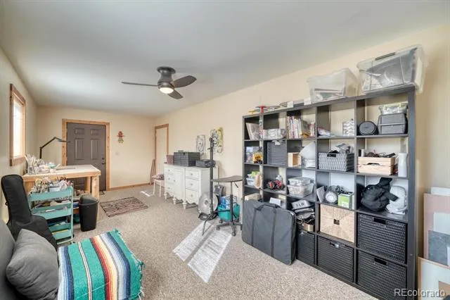 13288 County Road 261p Nathrop, CO 81236