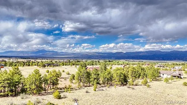13288 County Road 261p Nathrop, CO 81236