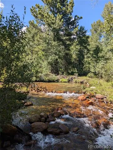 13288 County Road 261p Nathrop, CO 81236
