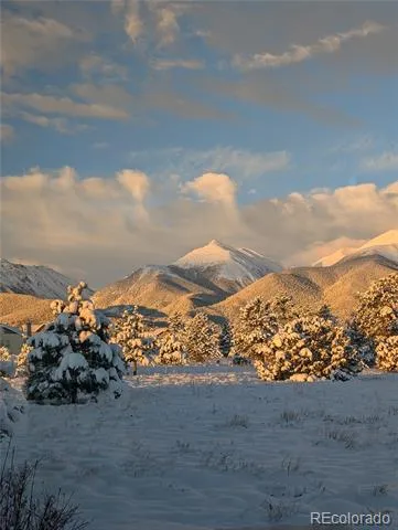13288 County Road 261p Nathrop, CO 81236