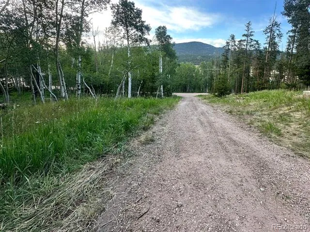 401 Blackfoot Road Red Feather Lakes, CO 80545