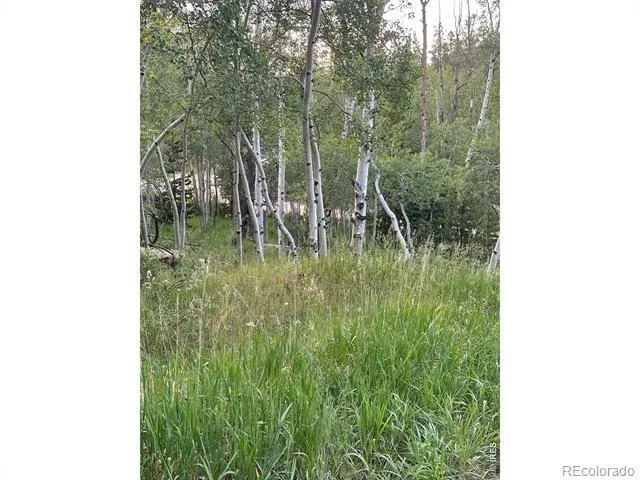 401 Blackfoot Road Red Feather Lakes, CO 80545