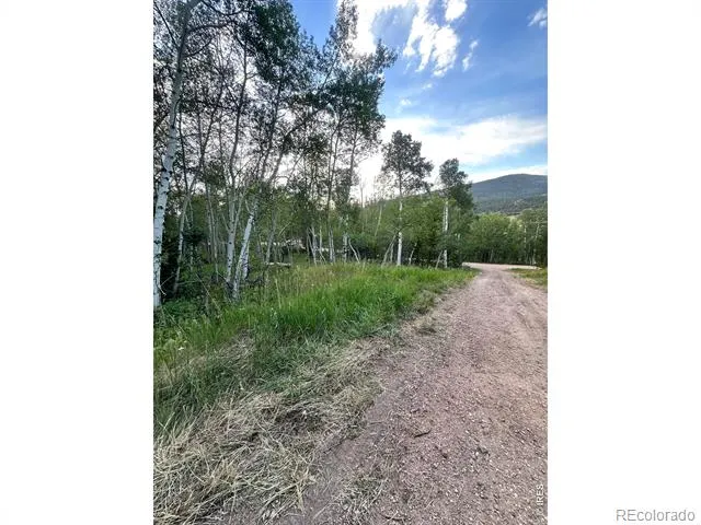 401 Blackfoot Road Red Feather Lakes, CO 80545