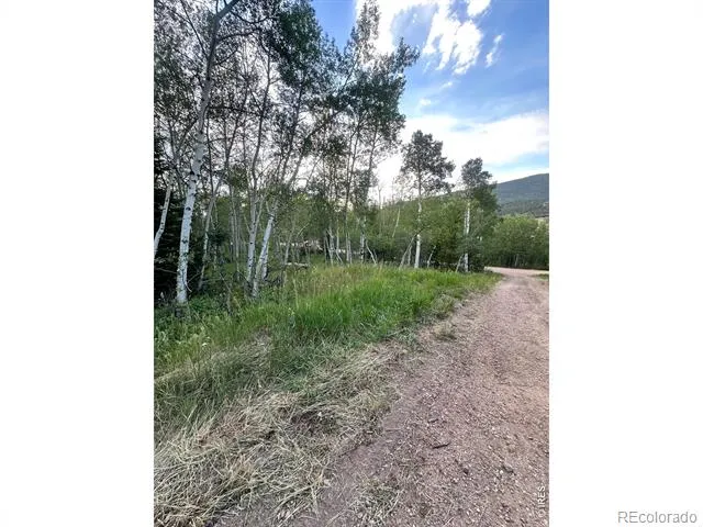 401 Blackfoot Road Red Feather Lakes, CO 80545