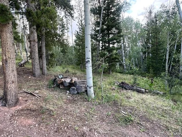 401 Blackfoot Road Red Feather Lakes, CO 80545