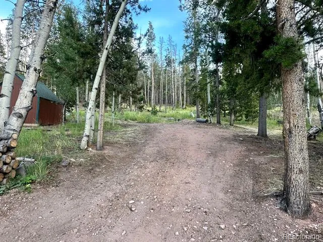 401 Blackfoot Road Red Feather Lakes, CO 80545
