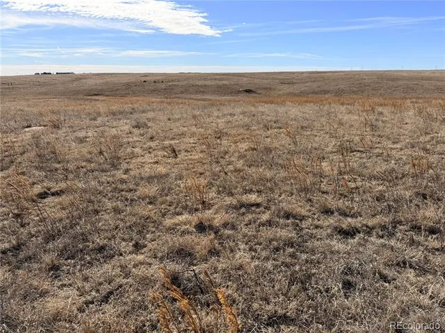 1 Mulberry Road Calhan, CO 80808