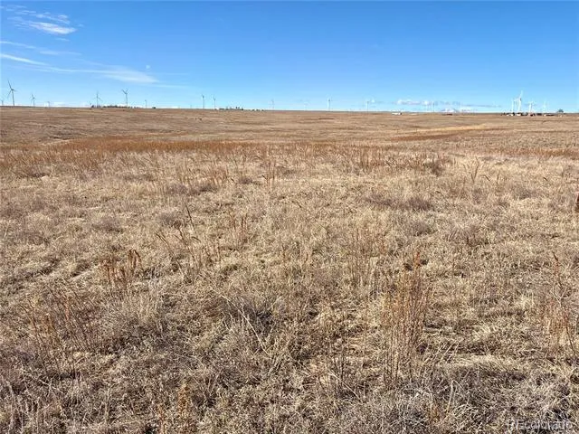 1 Mulberry Road Calhan, CO 80808