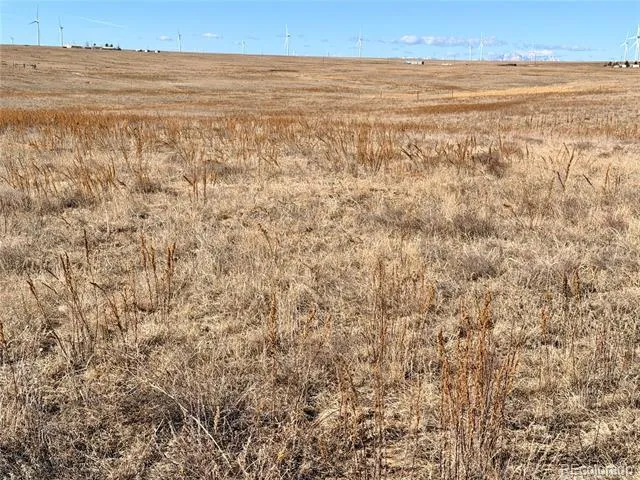 1 Mulberry Road Calhan, CO 80808