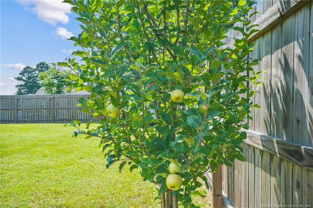 3104 Pasile Court Sanford, NC 27332