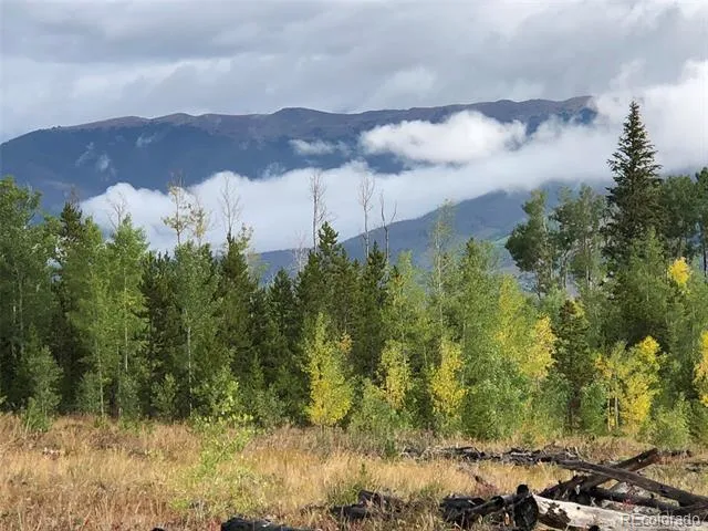 2510 Ryan Gulch Road #2512 Silverthorne, CO 80498