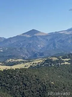 Flat Top Drive Canon City, CO 81212