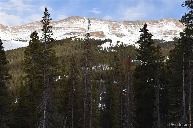 404 Carroll Lane Breckenridge, CO 80424