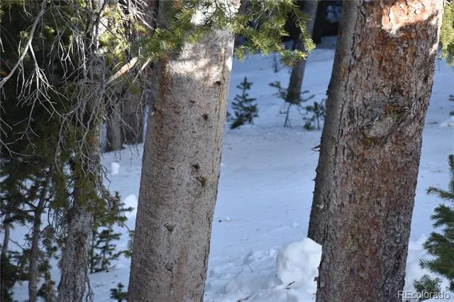 404 Carroll Lane Breckenridge, CO 80424